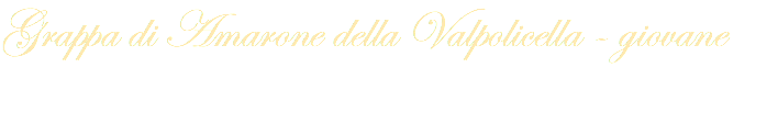 Grappa di Amarone della Valpolicella - giovane